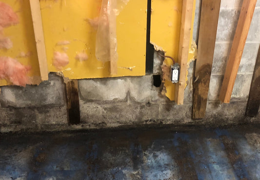 House Effects: Displacement is not home and a funeral is not family time.  Part 2