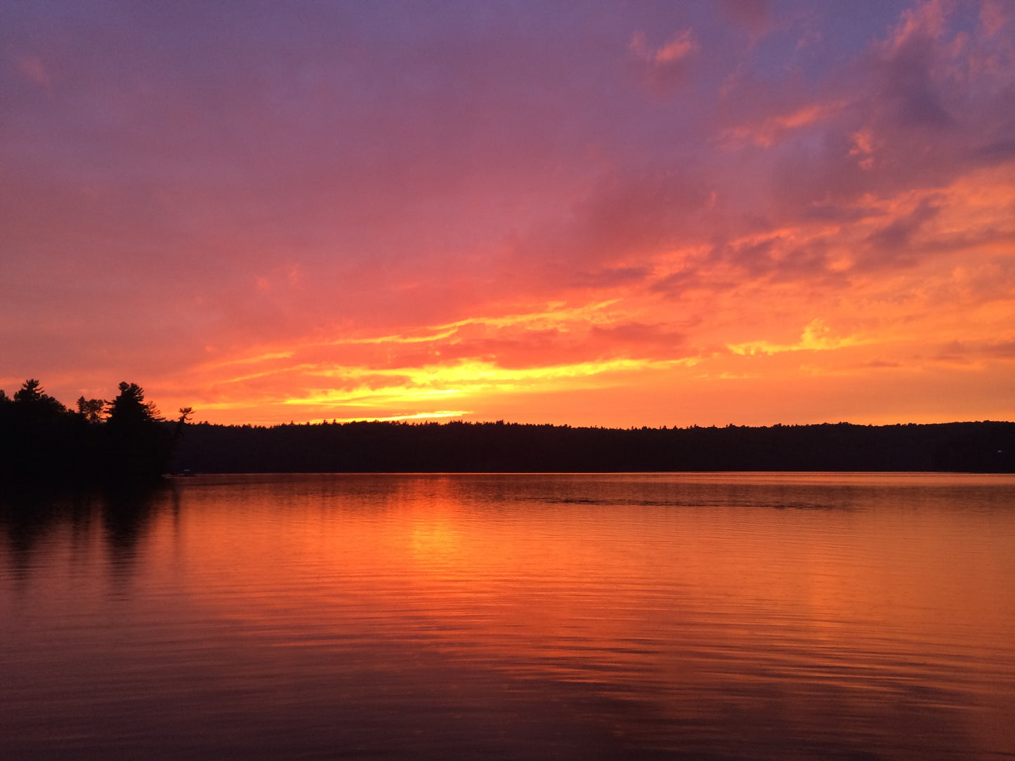 Printed Wall Graphics