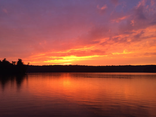 Printed Wall Graphics