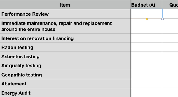 Renovation Budget Workbook (Microsoft Excel format)
